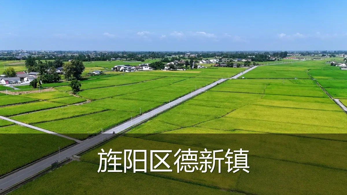 旌阳区德新镇