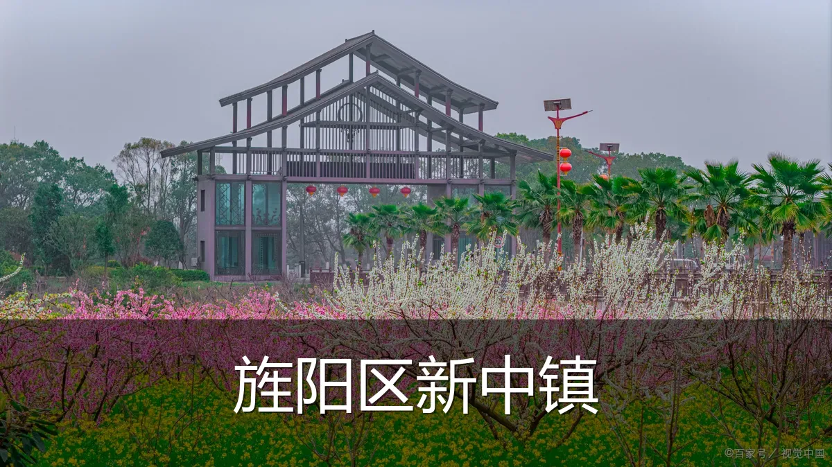 旌阳区新中镇