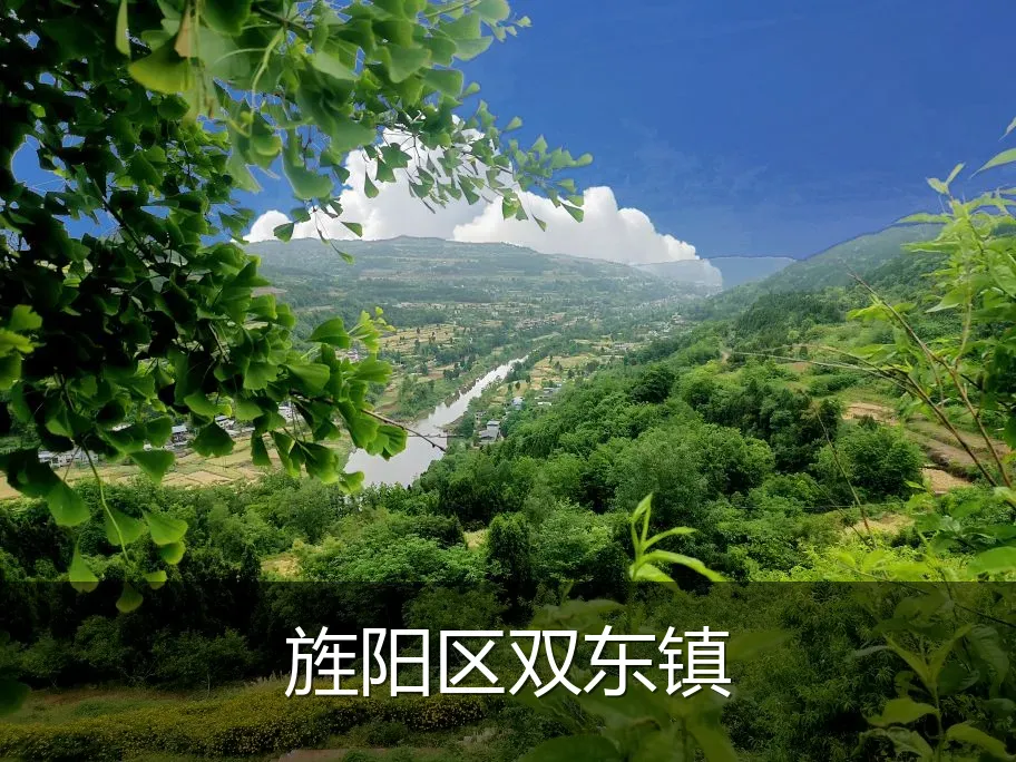 旌阳区双东镇